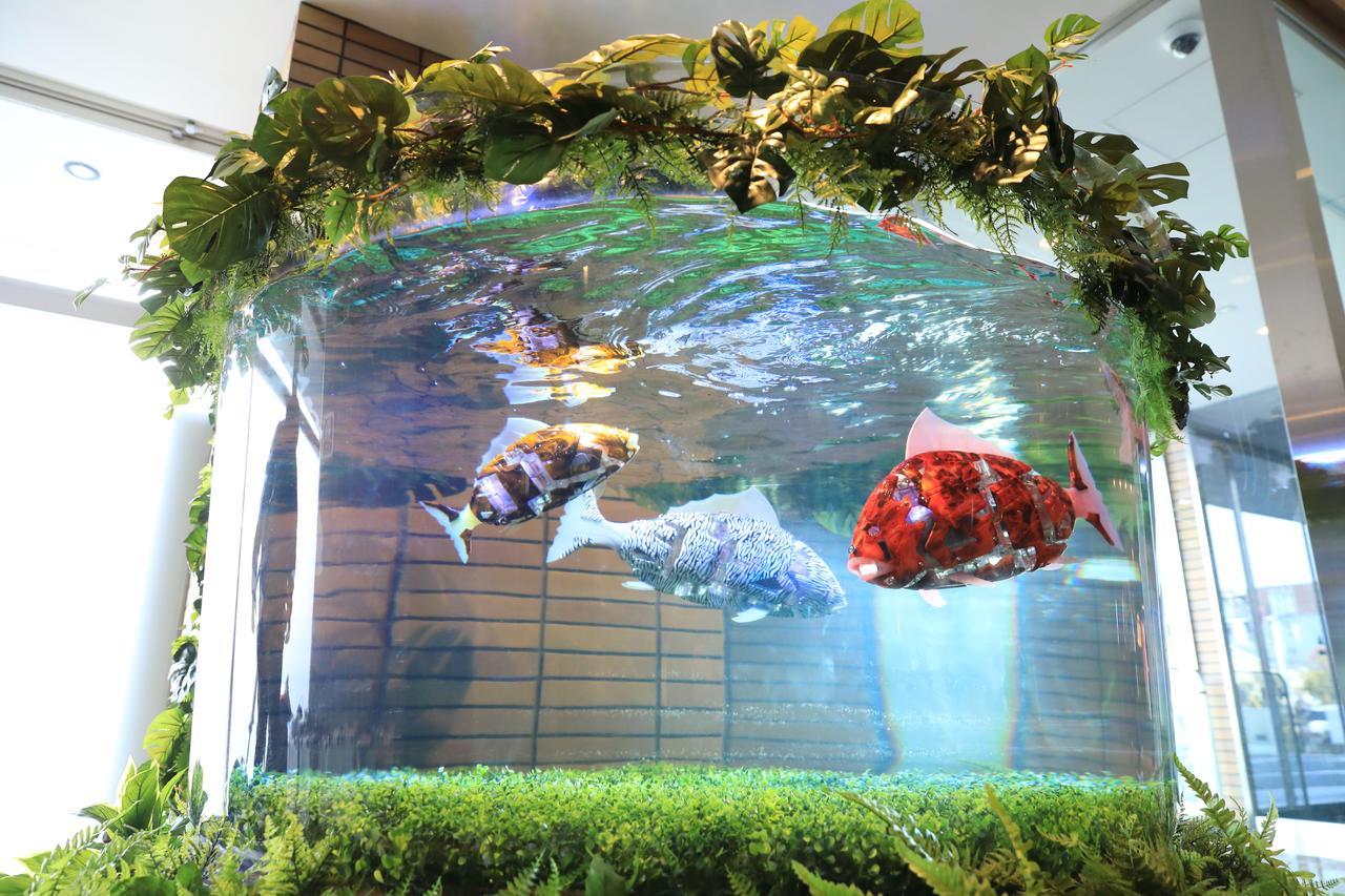 Henn Na Hotel Maihama Tokyo Bay Urayasu Dış mekan fotoğraf